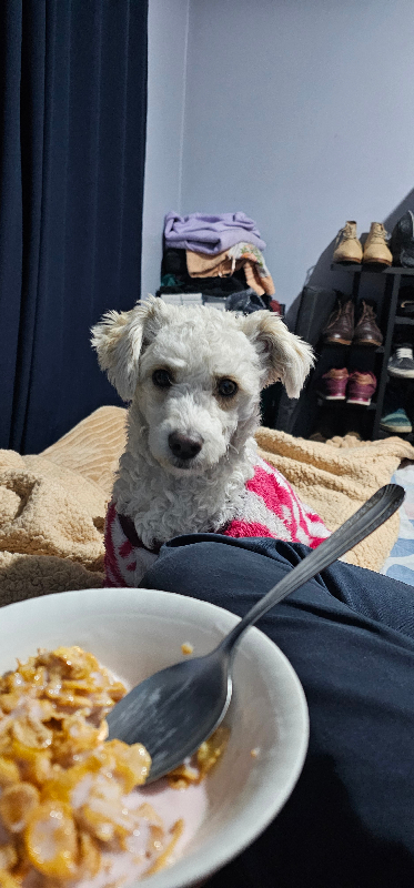 Foto de Kiara