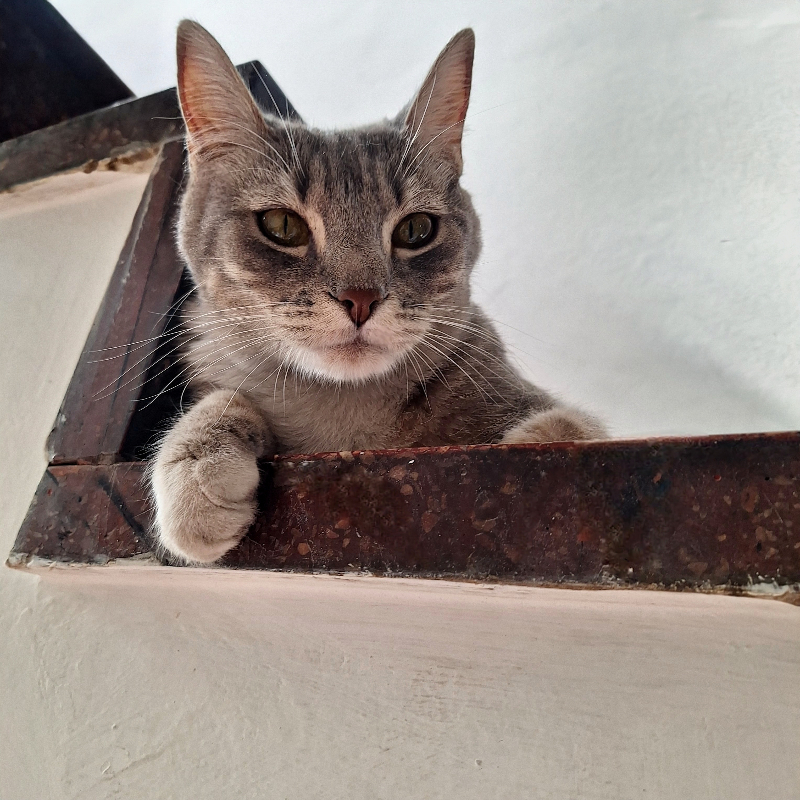 Foto de Feri