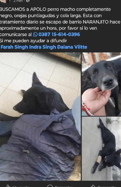 Foto de apolo